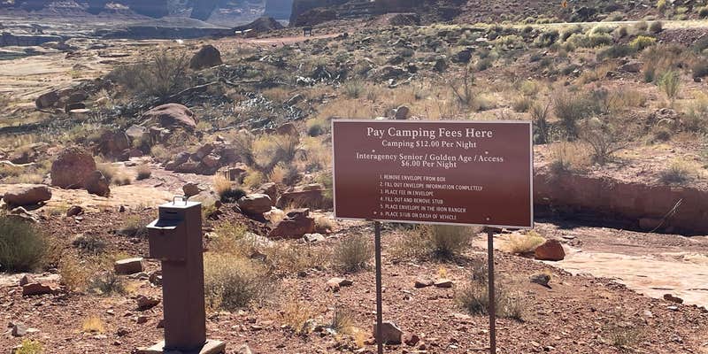 Camper submitted image from Dirty Devil Camping Area — Glen Canyon National Recreation Area