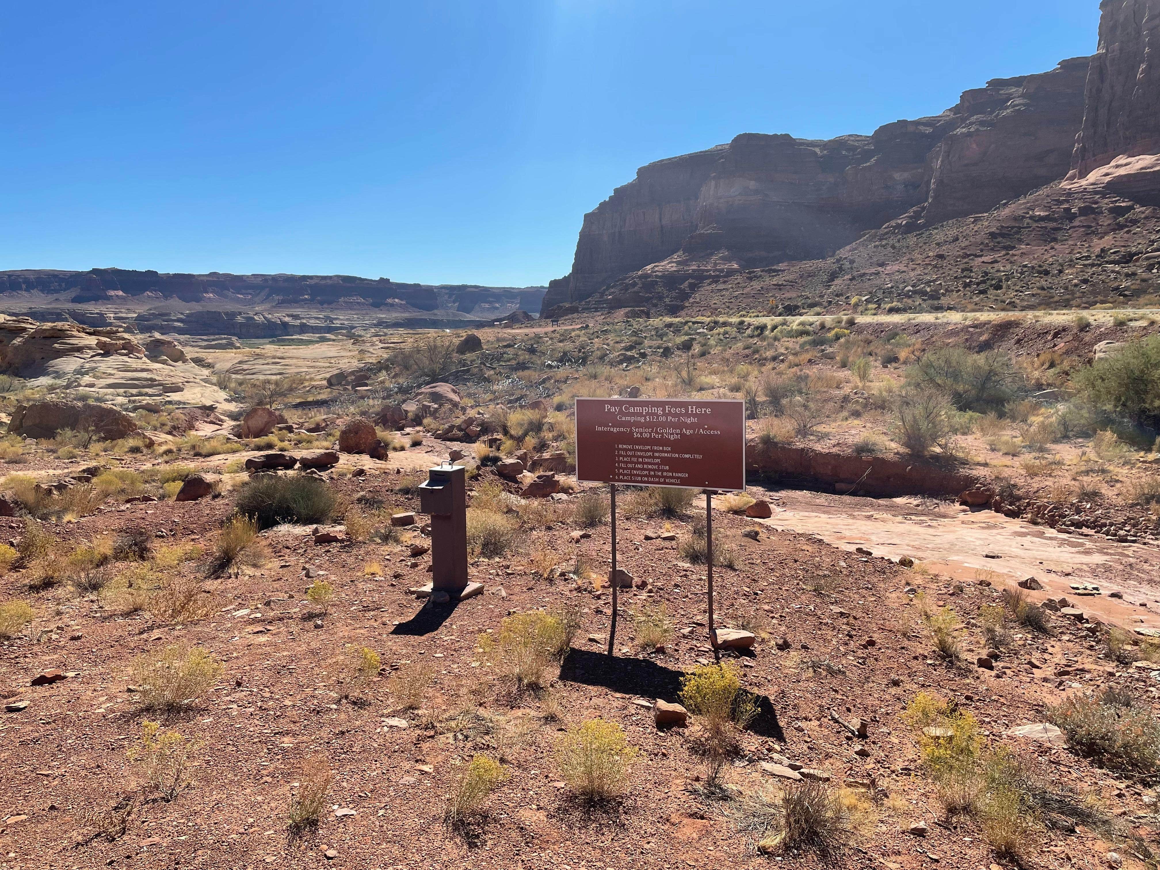 Camper submitted image from Dirty Devil Camping Area — Glen Canyon National Recreation Area - 2