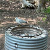 Review photo of Fayette State Park Campground by Lee D., October 29, 2024