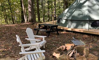 Lauren M.'s photo at Hidden Timbers Homestead near Adams, TN