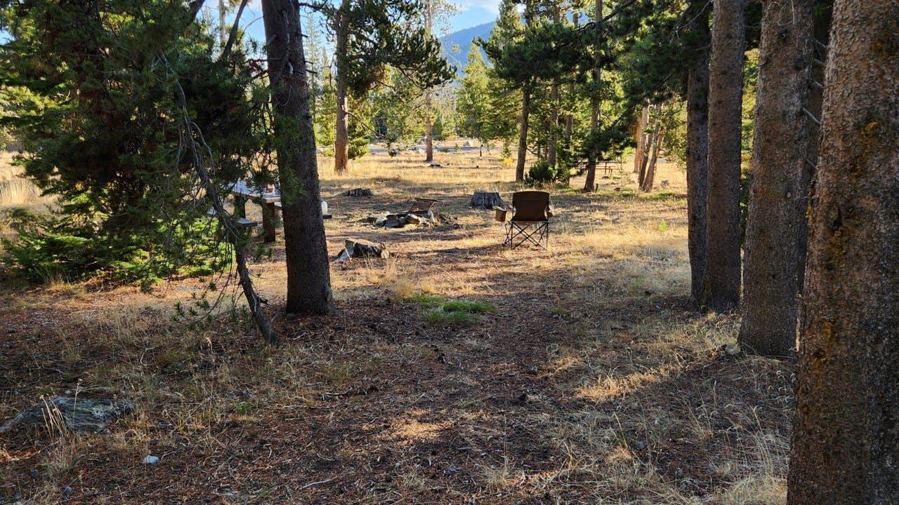 Camper submitted image from Star Hope - 4