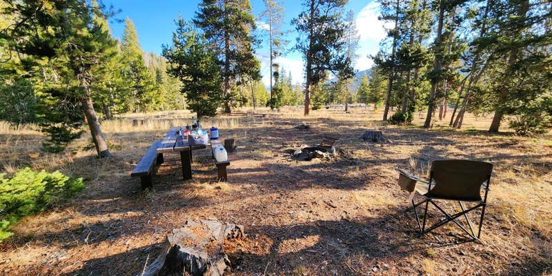 Camper submitted image from Star Hope