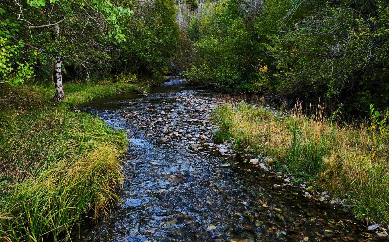 Camper submitted image from Corral Creek Designated Dispersed - 3