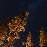 Review photo of Madison Campground — Yellowstone National Park by Graham C., September 16, 2016
