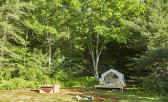 The Dyrt's photo at Pond View near Milanville, PA