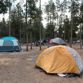 Review photo of Madison Campground — Yellowstone National Park by Graham C., September 16, 2016