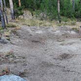 Review photo of Casino Creek Campground by Fred S., November 1, 2024