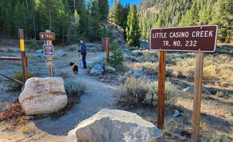 Fred S.'s photo of camping with pets at Casino Creek Campground near Stanley, ID