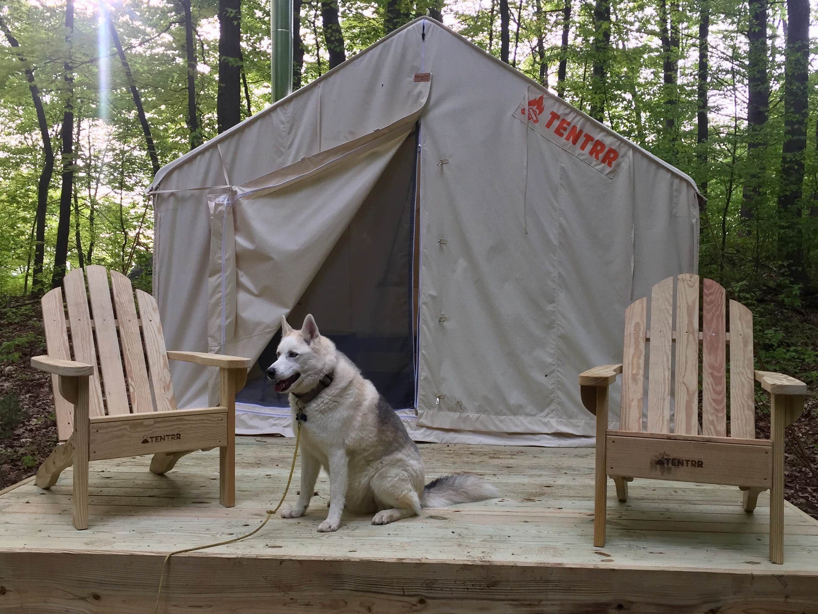 The Dyrt's photo at Nature's Therapy near Cornwall-on-Hudson, NY