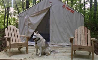 The Dyrt's photo at Nature's Therapy near Wallkill, NY