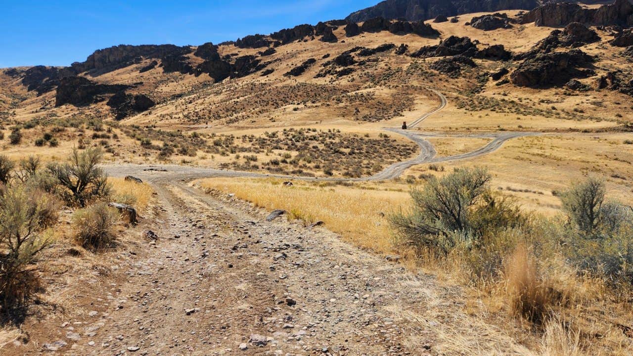 Camper submitted image from Succor Creek State Natural Area Dispersed, OR - 3