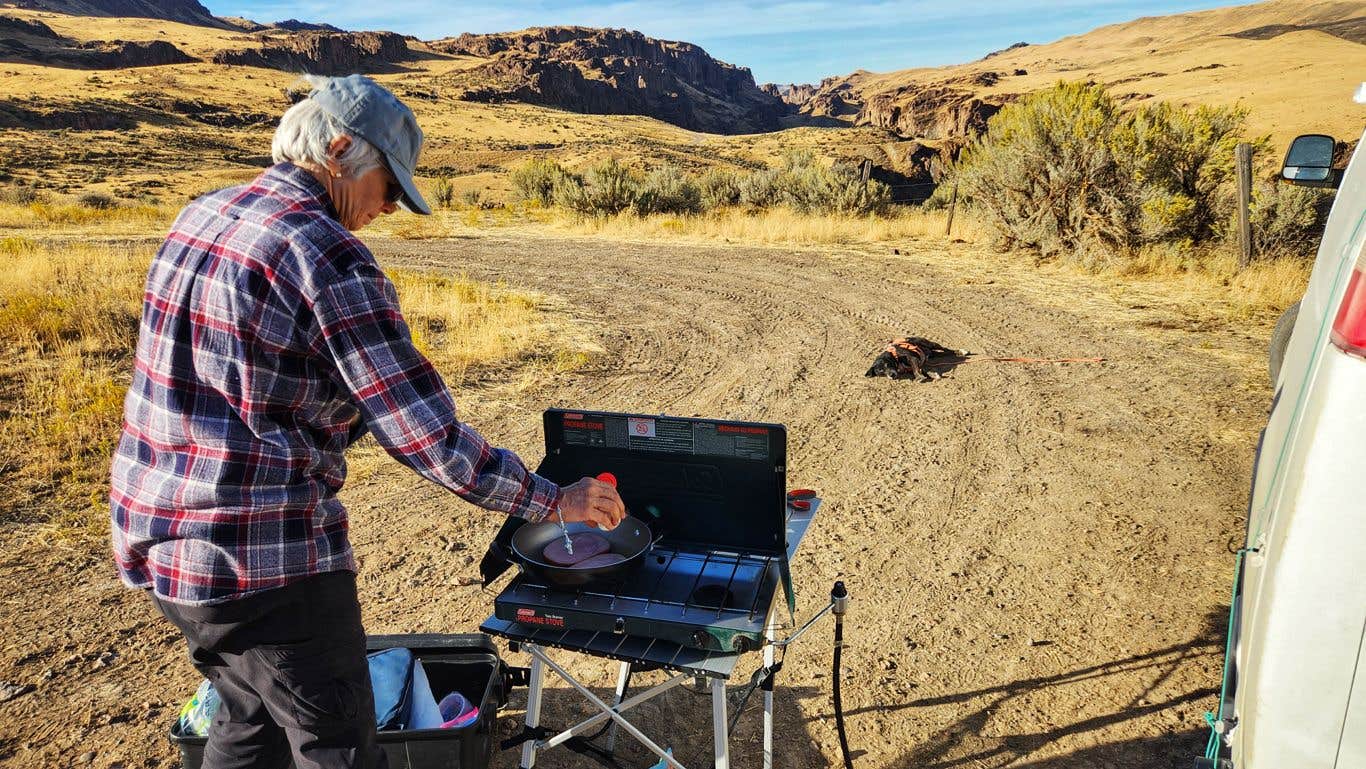 Camper submitted image from Succor Creek State Natural Area Dispersed - 5