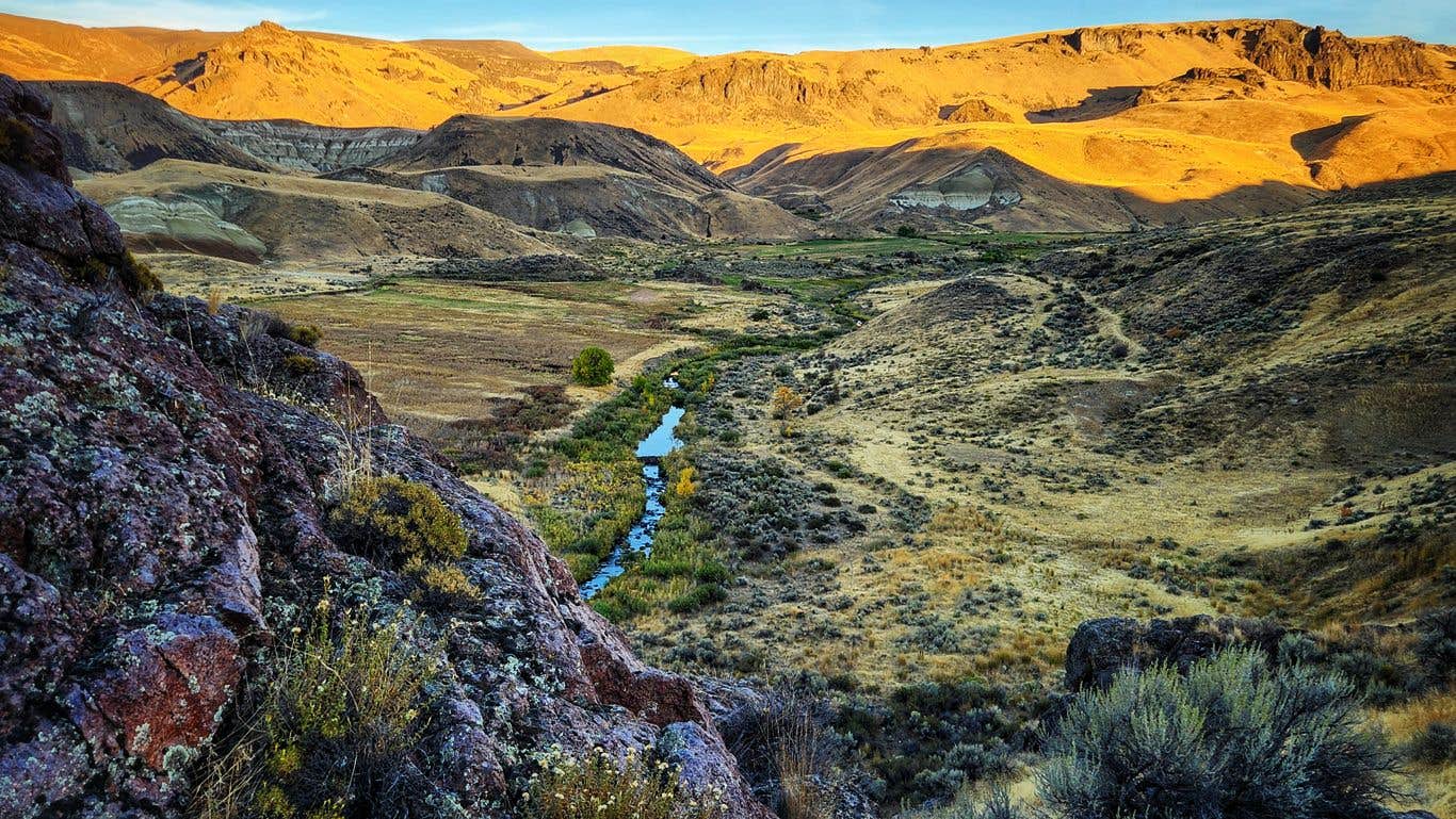 Camper submitted image from Succor Creek State Natural Area Dispersed, OR - 5