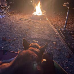 Lawrence Shoals Campground