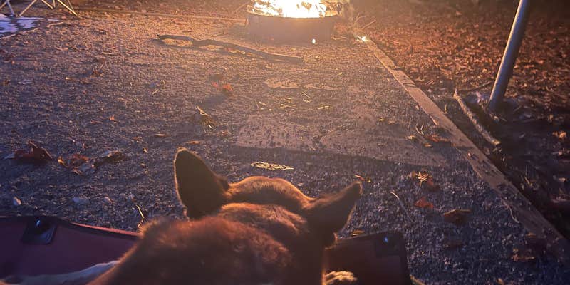 Camper submitted image from Lawrence Shoals Campground