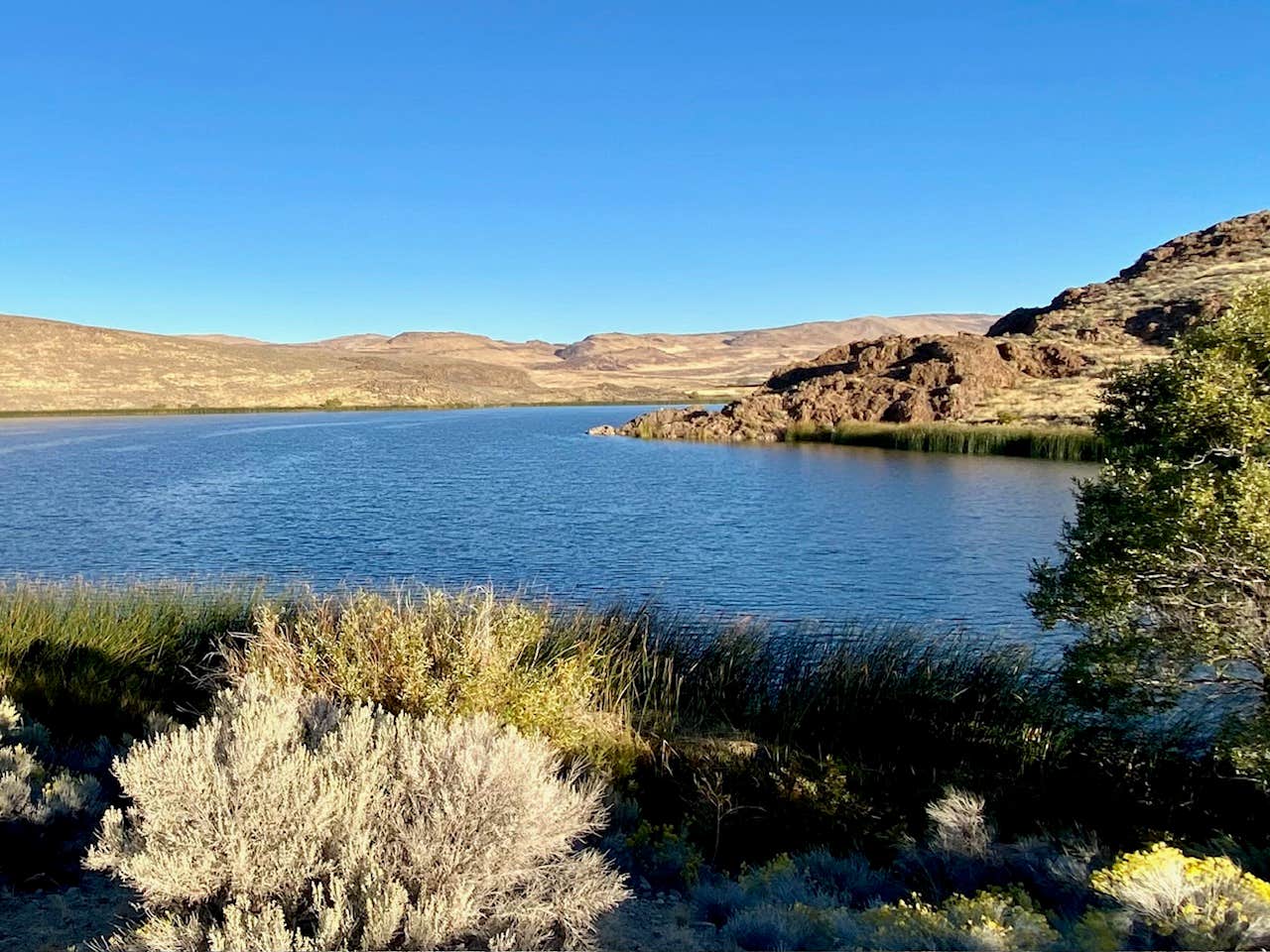 Mike's photo of a dispersed camping area at Squaw Valley Reservoir near Gerlach, NV