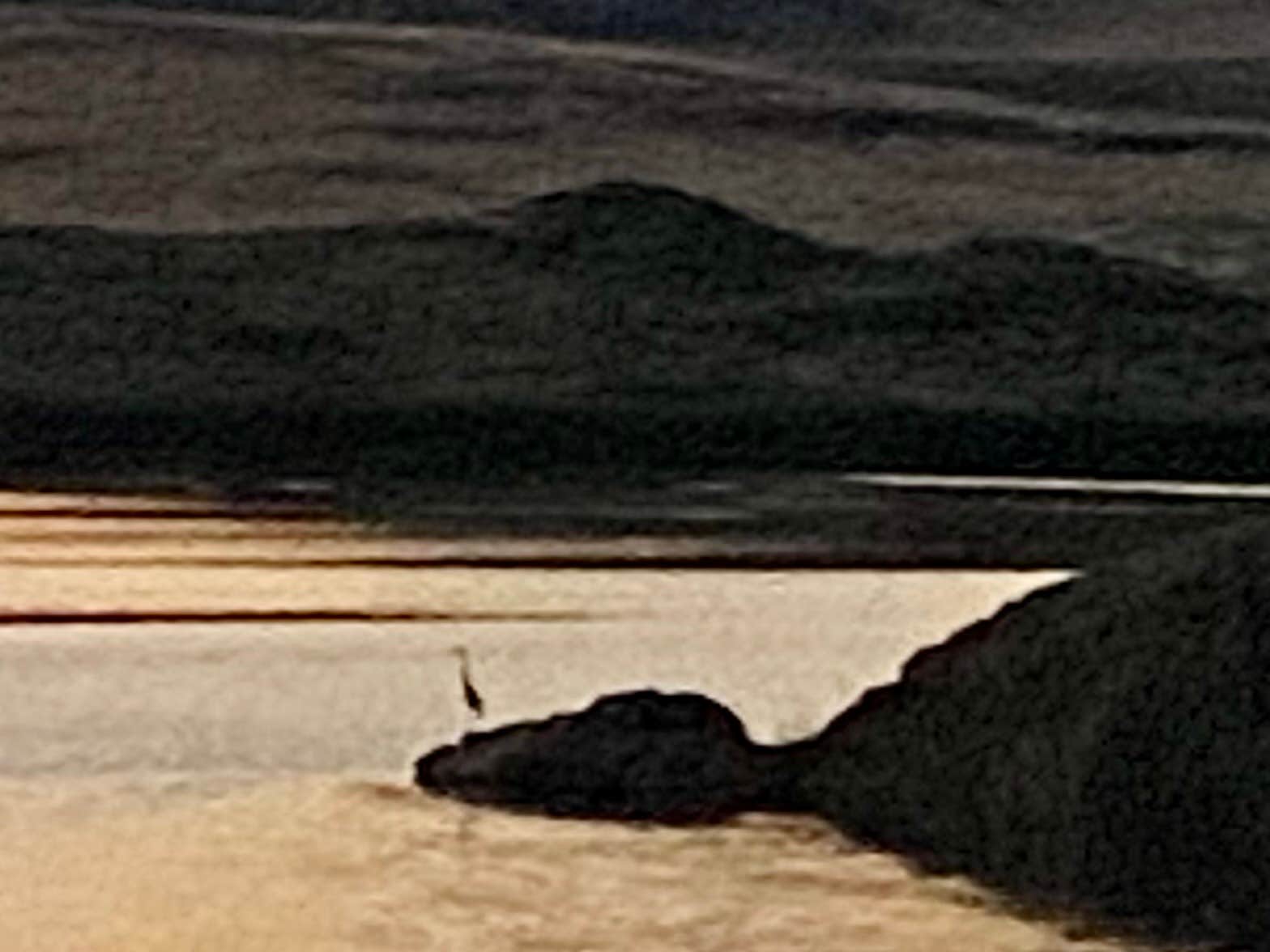 Mike's photo of camping with pets at Squaw Valley Reservoir near Gerlach, NV