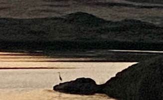 Mike's photo of camping with pets at Squaw Valley Reservoir near Gerlach, NV