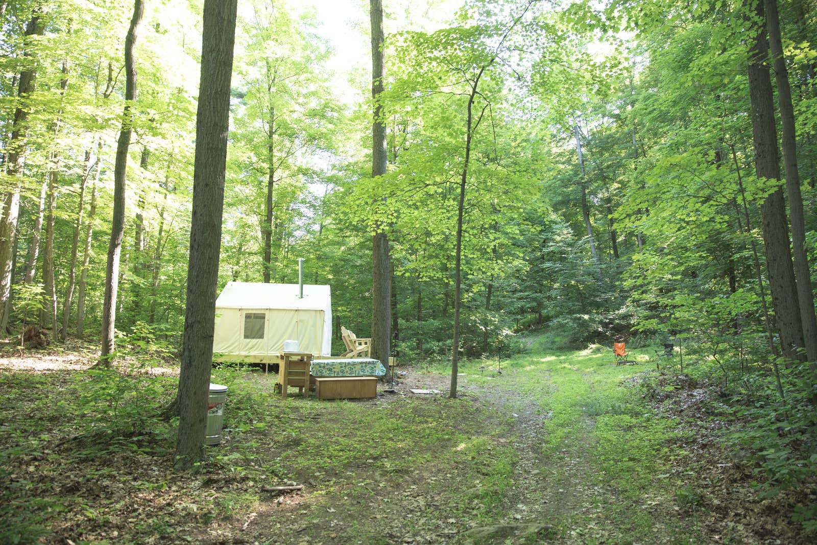 The Dyrt's photo at Nature's Therapy near Beacon, NY