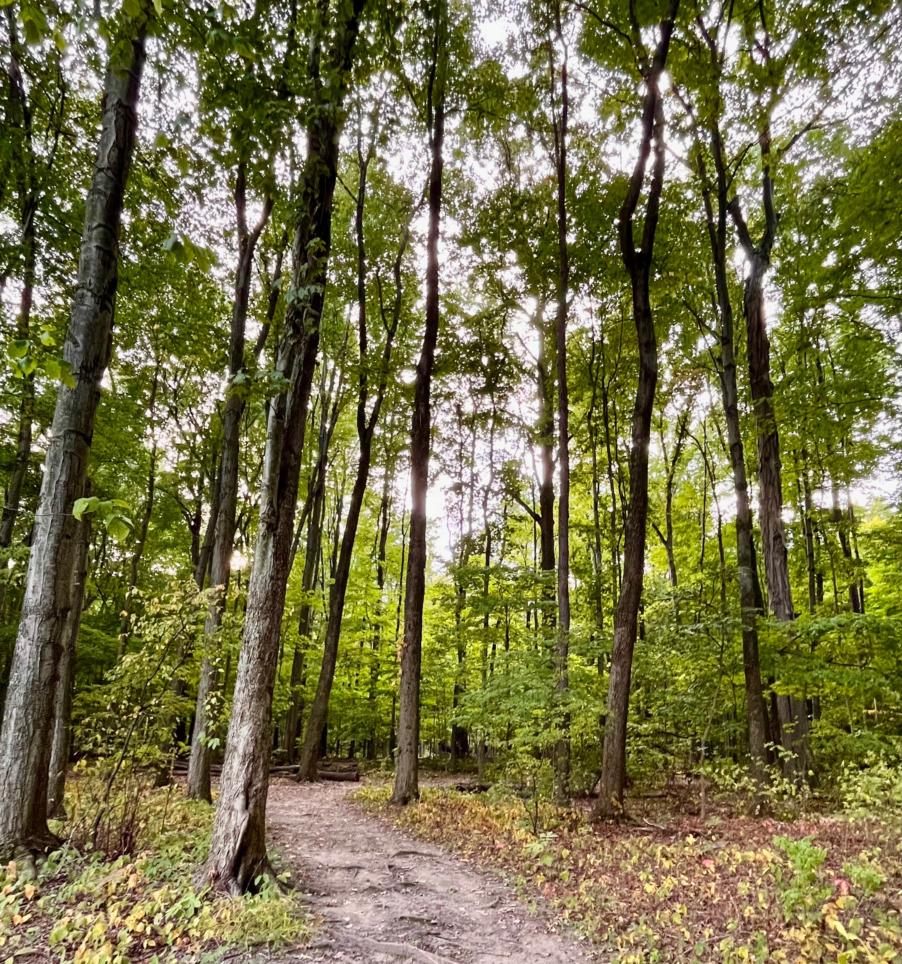 Camper submitted image from Silver Springs Campground - 4