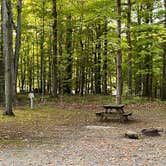 Review photo of Bluff Camping Area — Fair Haven Beach State Park by Kim L., November 4, 2024