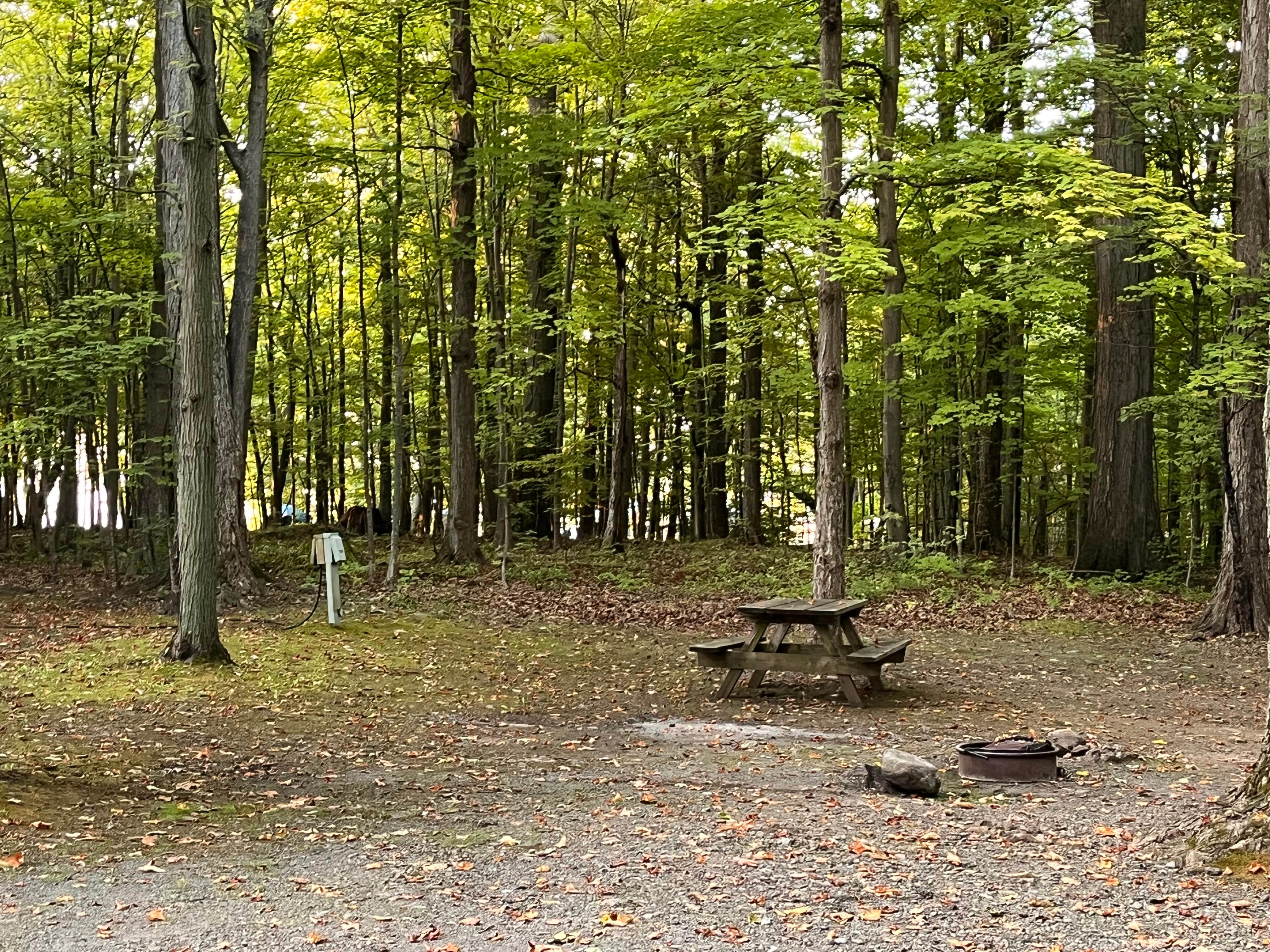 Camper submitted image from Bluff Camping Area — Fair Haven Beach State Park - 4