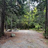 Review photo of Blackwoods Campground — Acadia National Park by Kim L., November 4, 2024