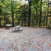 Review photo of Lafayette Place Campground — Franconia Notch State Park by Kim L., November 4, 2024