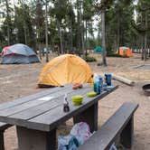 Review photo of Madison Campground — Yellowstone National Park by Graham C., September 16, 2016