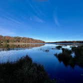 Review photo of Ricketts Glen State Park Campground by Kim L., November 5, 2024