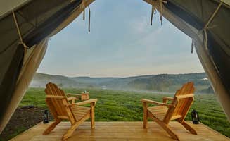 The Dyrt's photo at Mountain Top Camp at Greenane near Delhi, NY