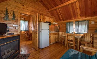 The Dyrt's photo of a cabin at Redwood Coast Cabins & RV Resort near Eureka, CA
