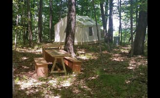 The Dyrt's photo at Honey Hill near Sprakers, NY