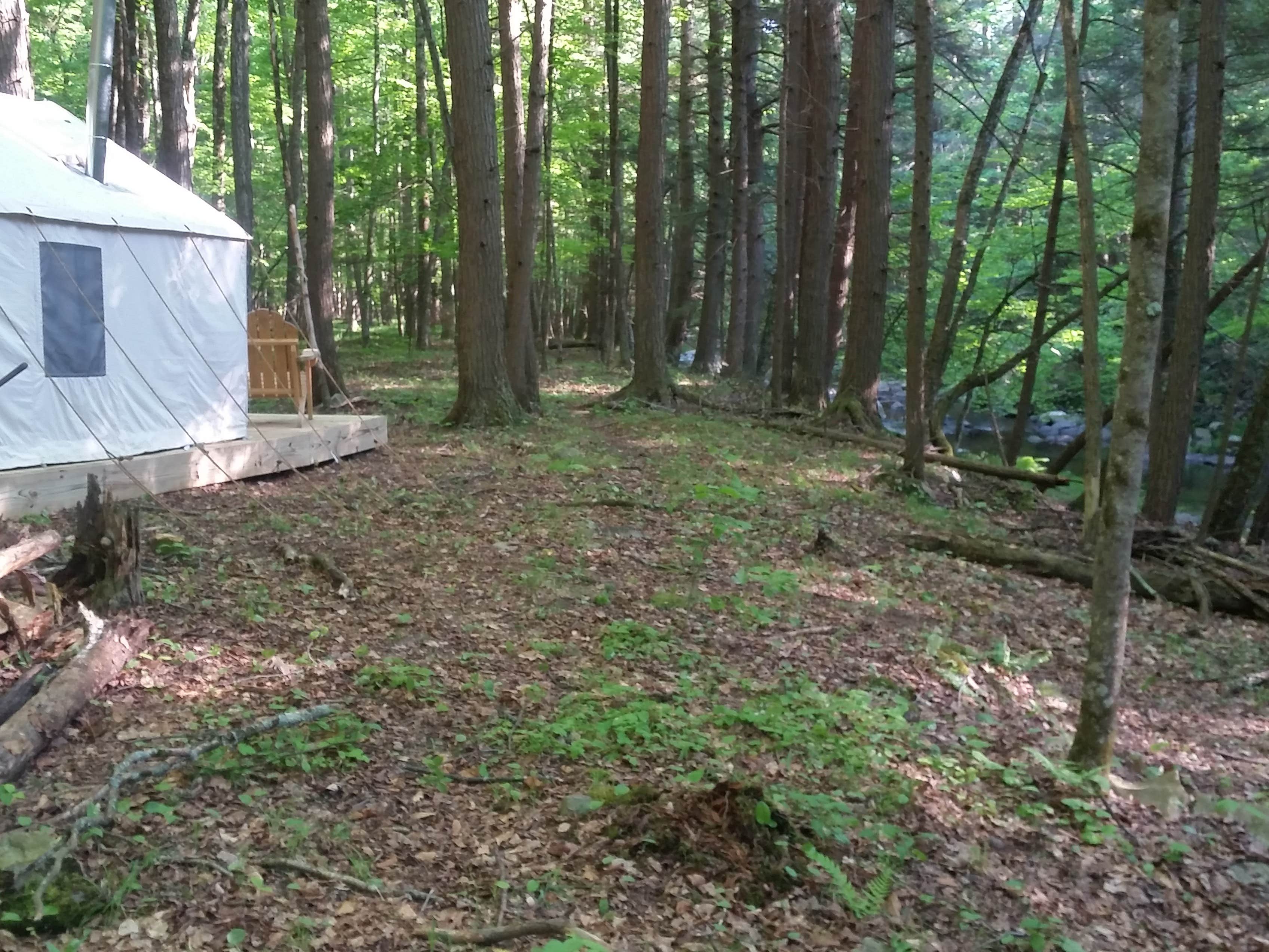 The Dyrt's photo at Creekside Thyme near Preston Hollow, NY