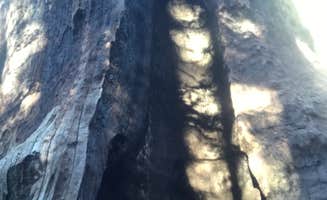 mario U.'s photo of a dispersed camping area at Cherry Gap OHV Staging Area near Tollhouse, CA