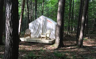 The Dyrt's photo at Creekside Thyme near Feura Bush, NY