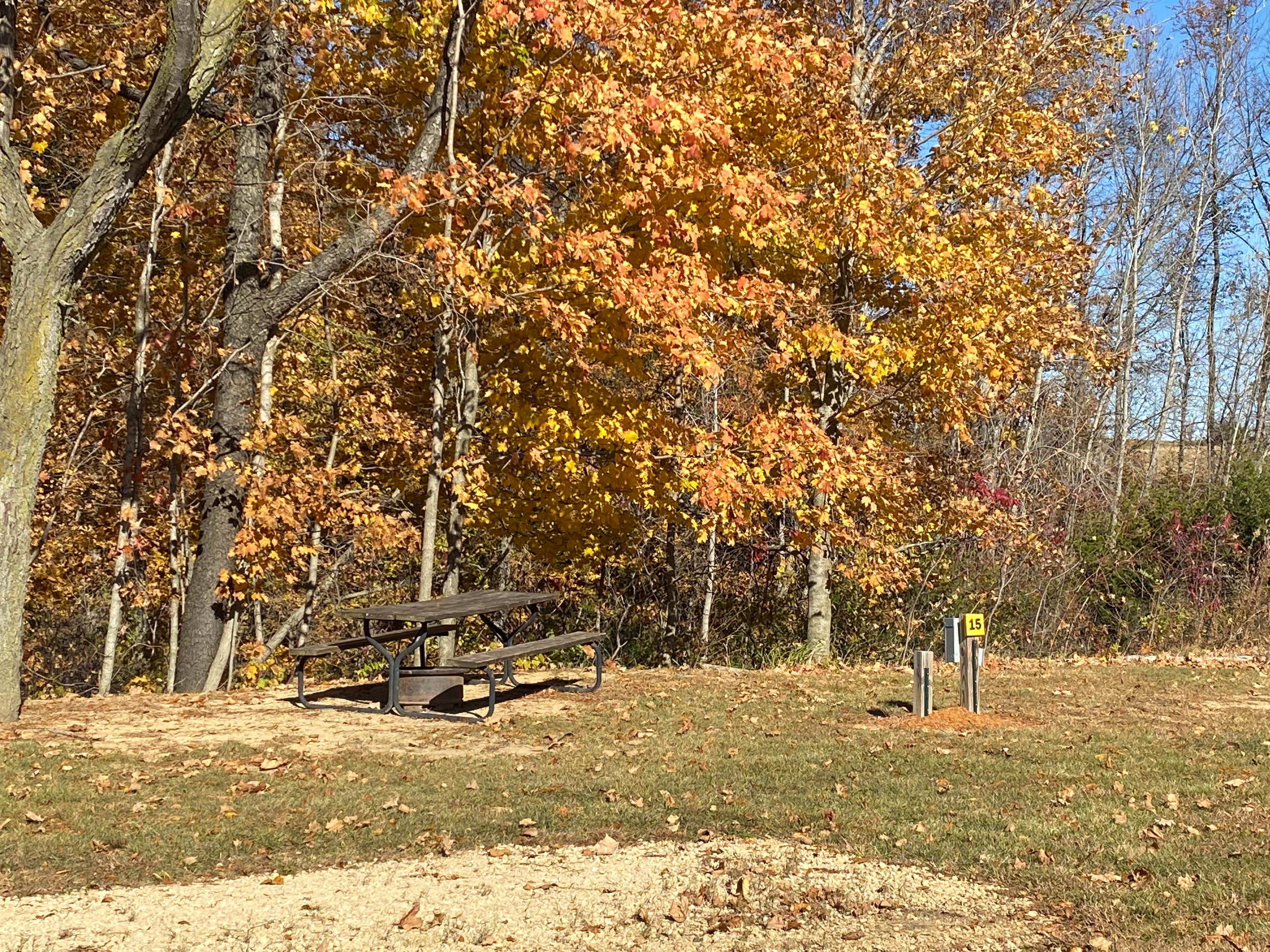 Camping near Joinerville County Park: 6B's Campground, Maquoketa, Iowa