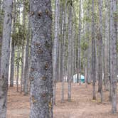 Review photo of Canyon Campground — Yellowstone National Park by Graham C., September 16, 2016