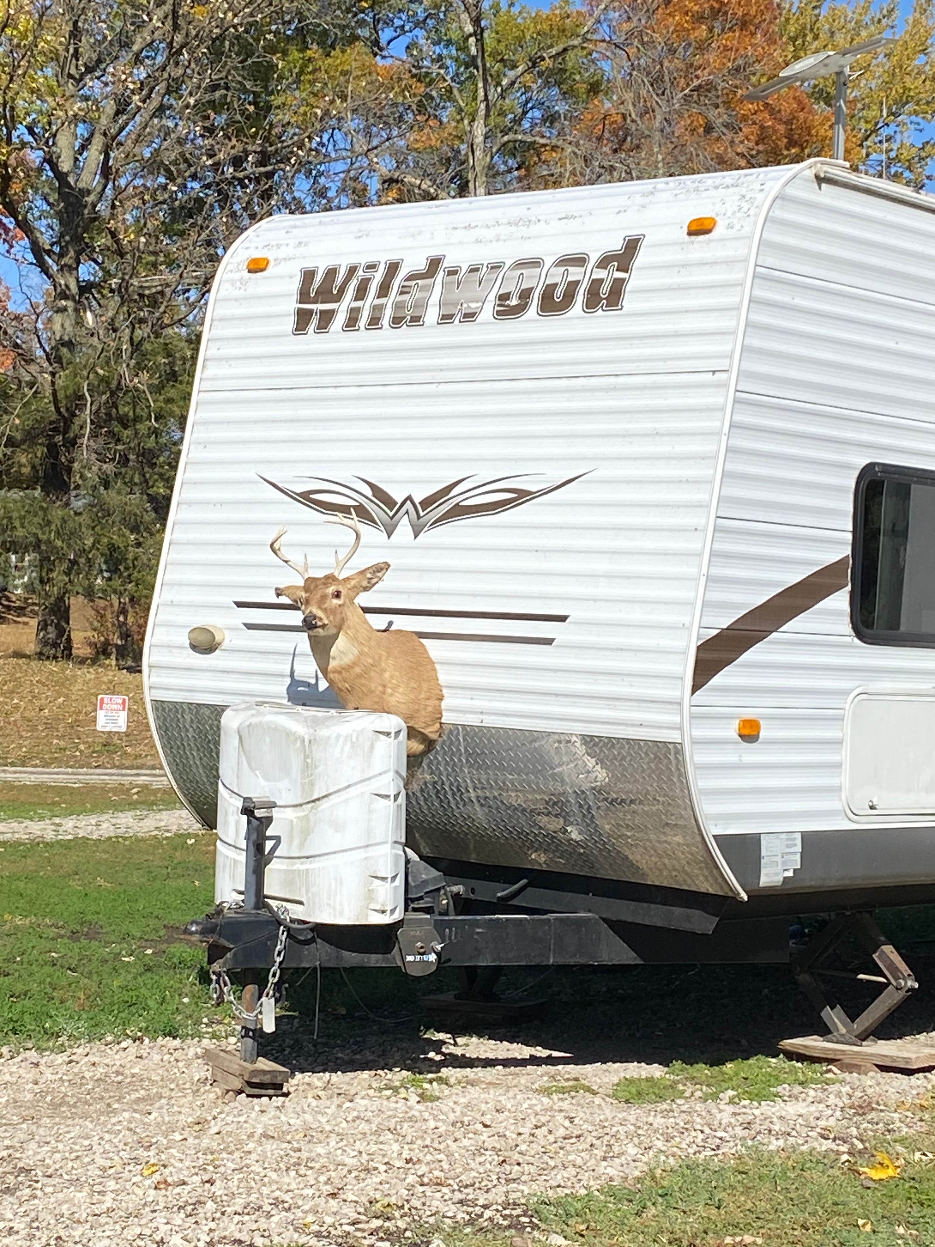 Camper-submitted photo at Lundeens Landing near Port Byron, IL