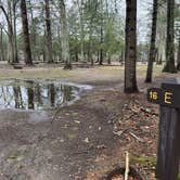 Review photo of Hopeville Pond State Park Campground by Lee D., November 10, 2024