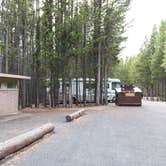 Review photo of Canyon Campground — Yellowstone National Park by Graham C., September 16, 2016