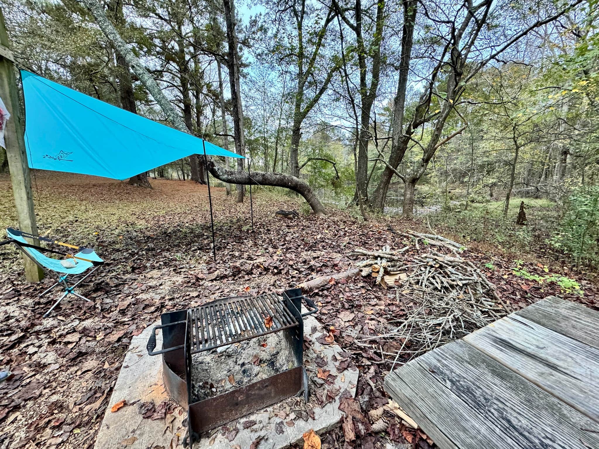 Camper-submitted photo at Panola Mountain State Park Campground near Redan, GA