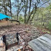 Review photo of Panola Mountain State Park Campground by Michael T., November 13, 2024