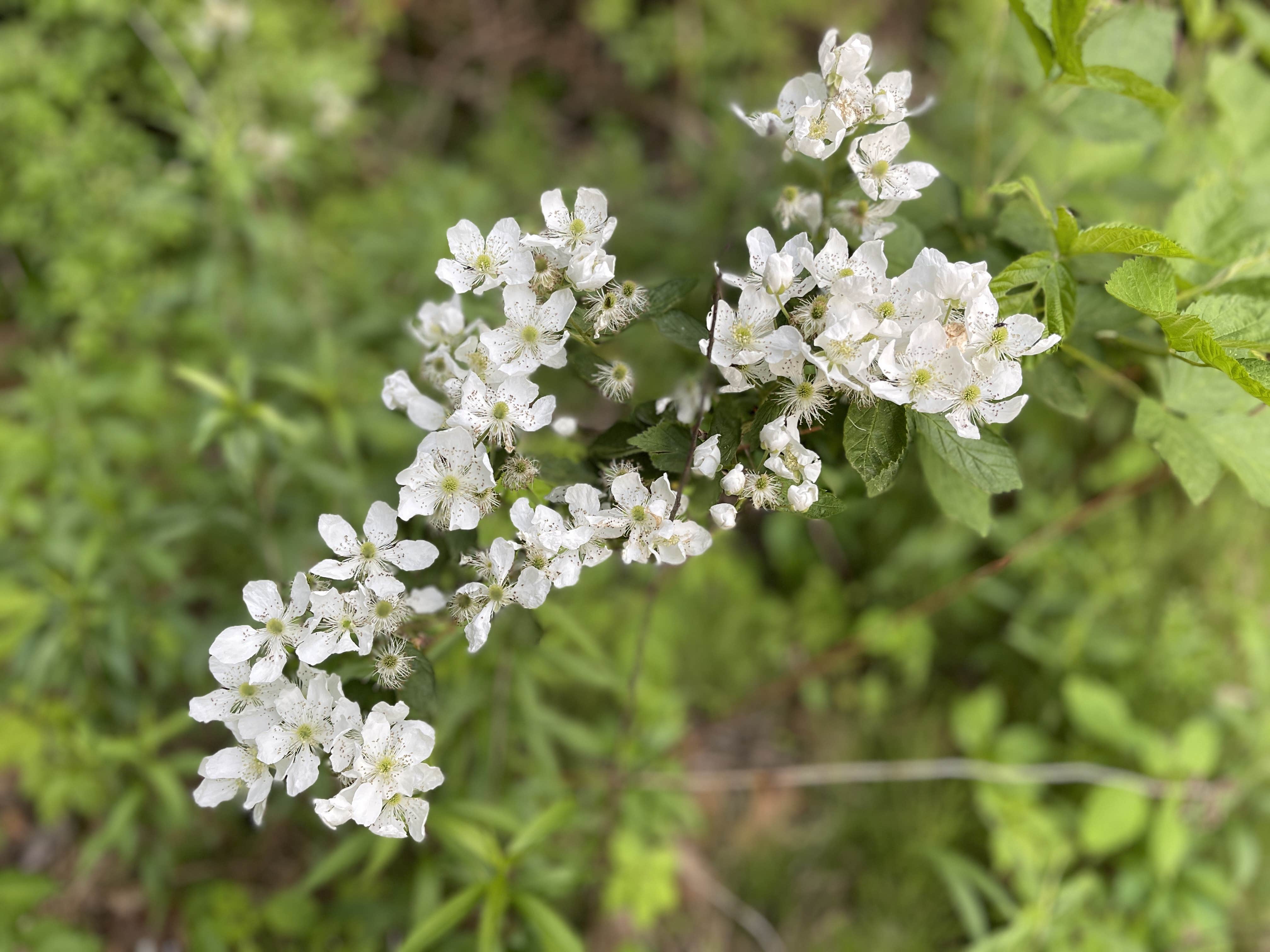 Camper-submitted photo at Lake Towhee County Park near Hatfield, PA