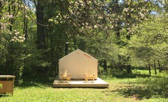 The Dyrt's photo at Lovely Apple Grove Retreat near Delhi, NY