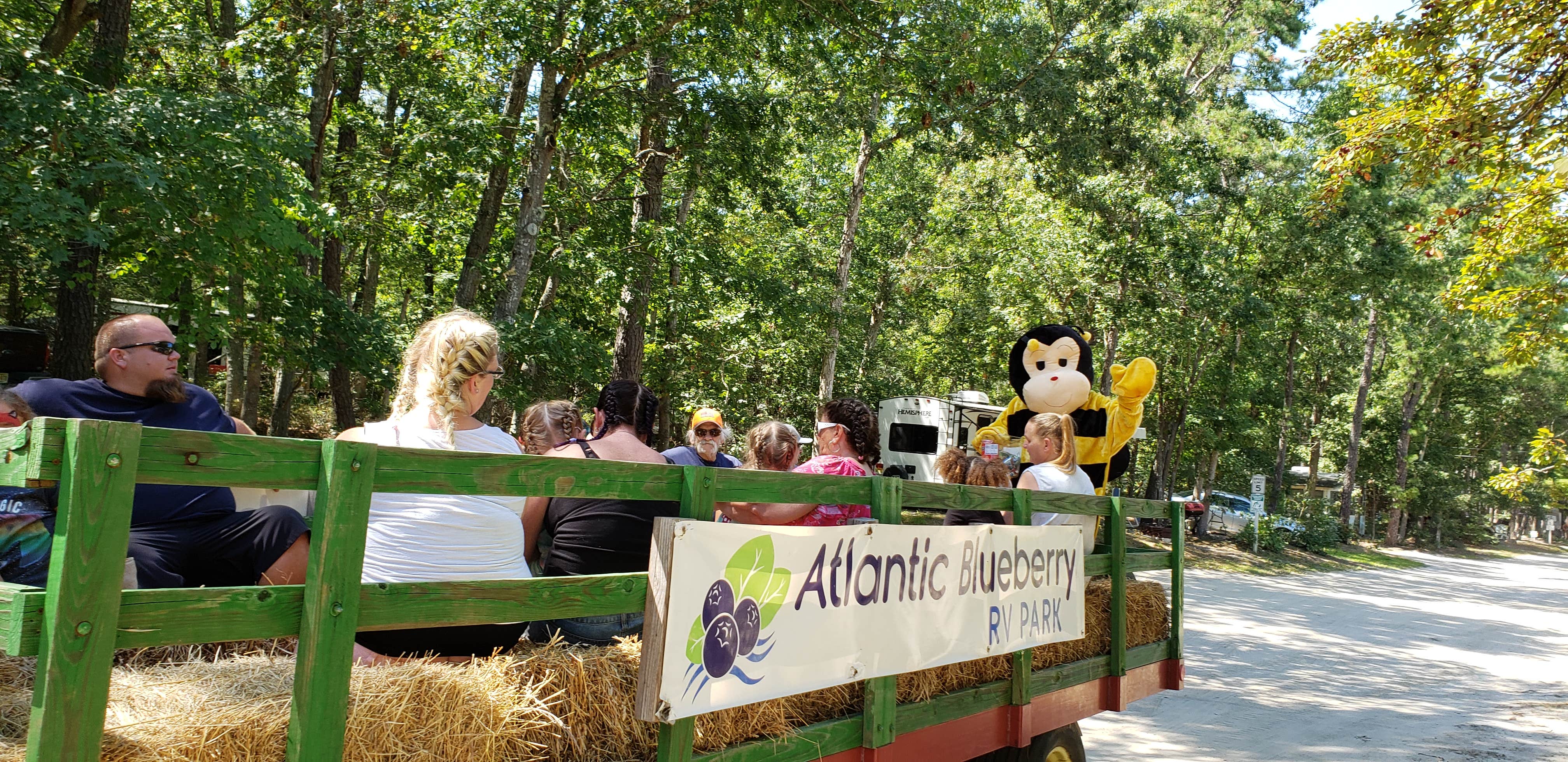 Camping near Thousand Trails Chestnut Lake: Atlantic Blueberry RV Park, Port Republic, New Jersey