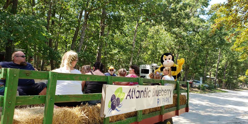 Camper submitted image from Atlantic Blueberry RV Park