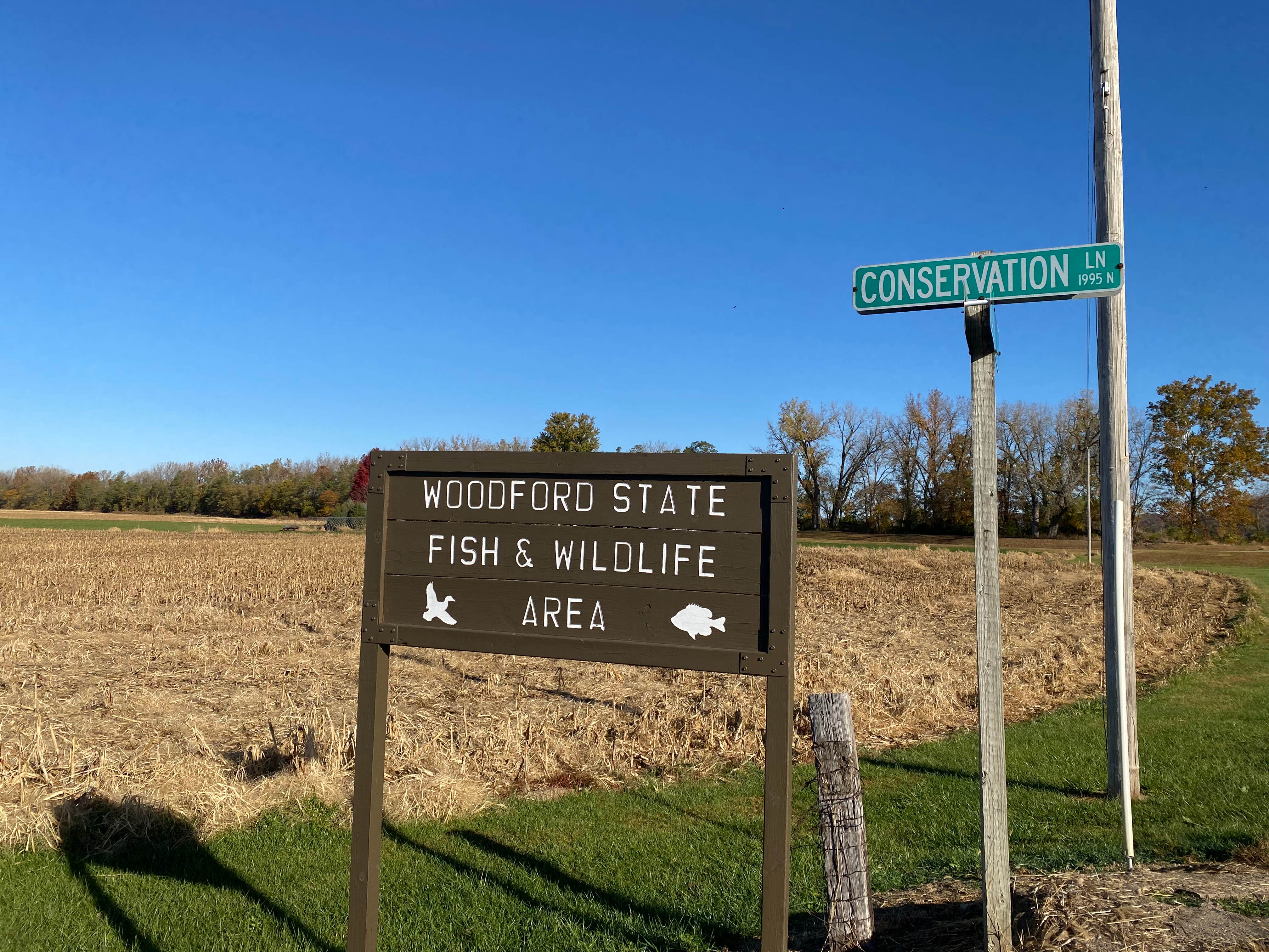 Camper-submitted photo at Woodford State Fish and Wildlife Area near Chillicothe, IL