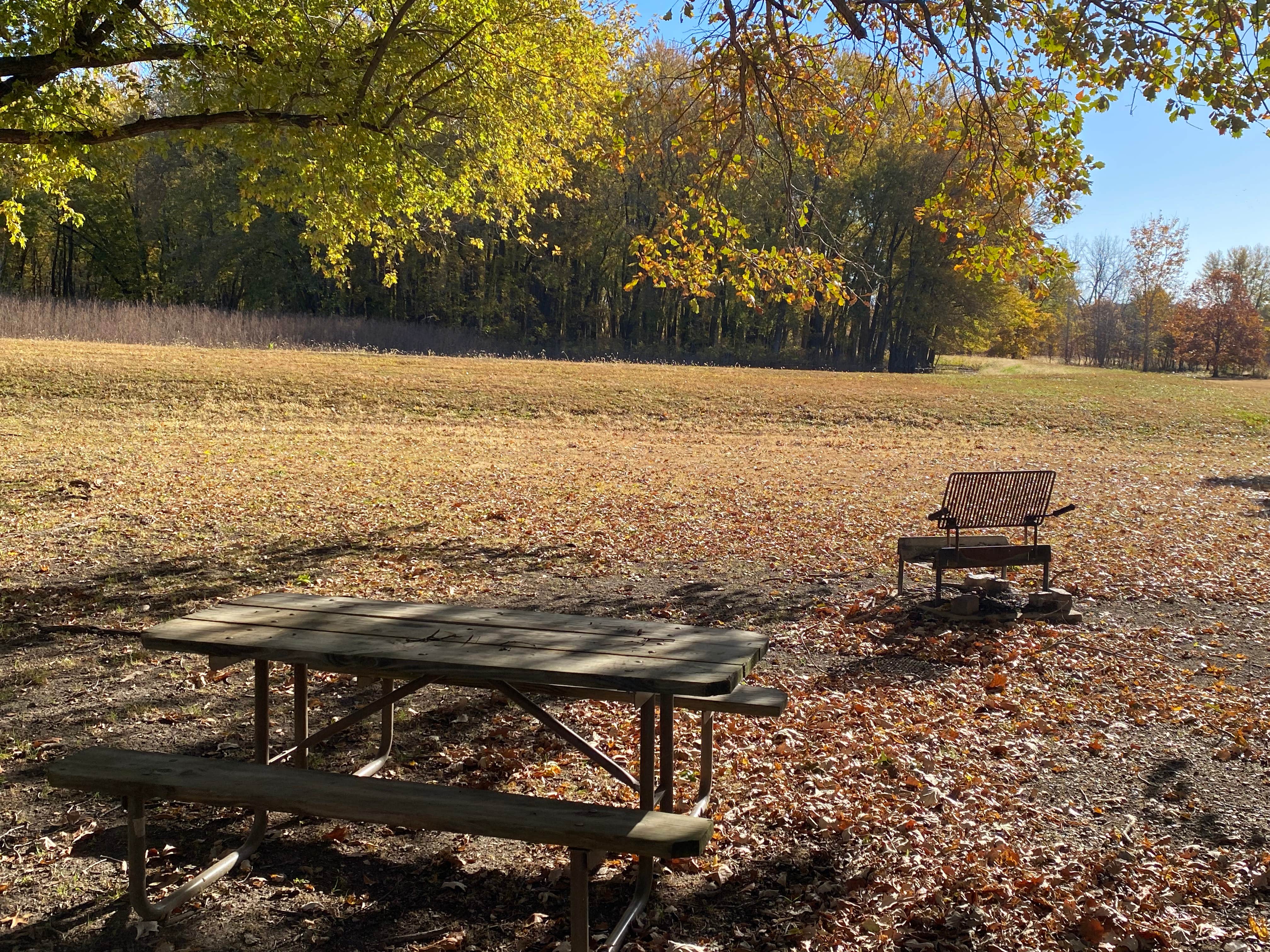 Camper-submitted photo at Woodford State Fish and Wildlife Area near Chillicothe, IL