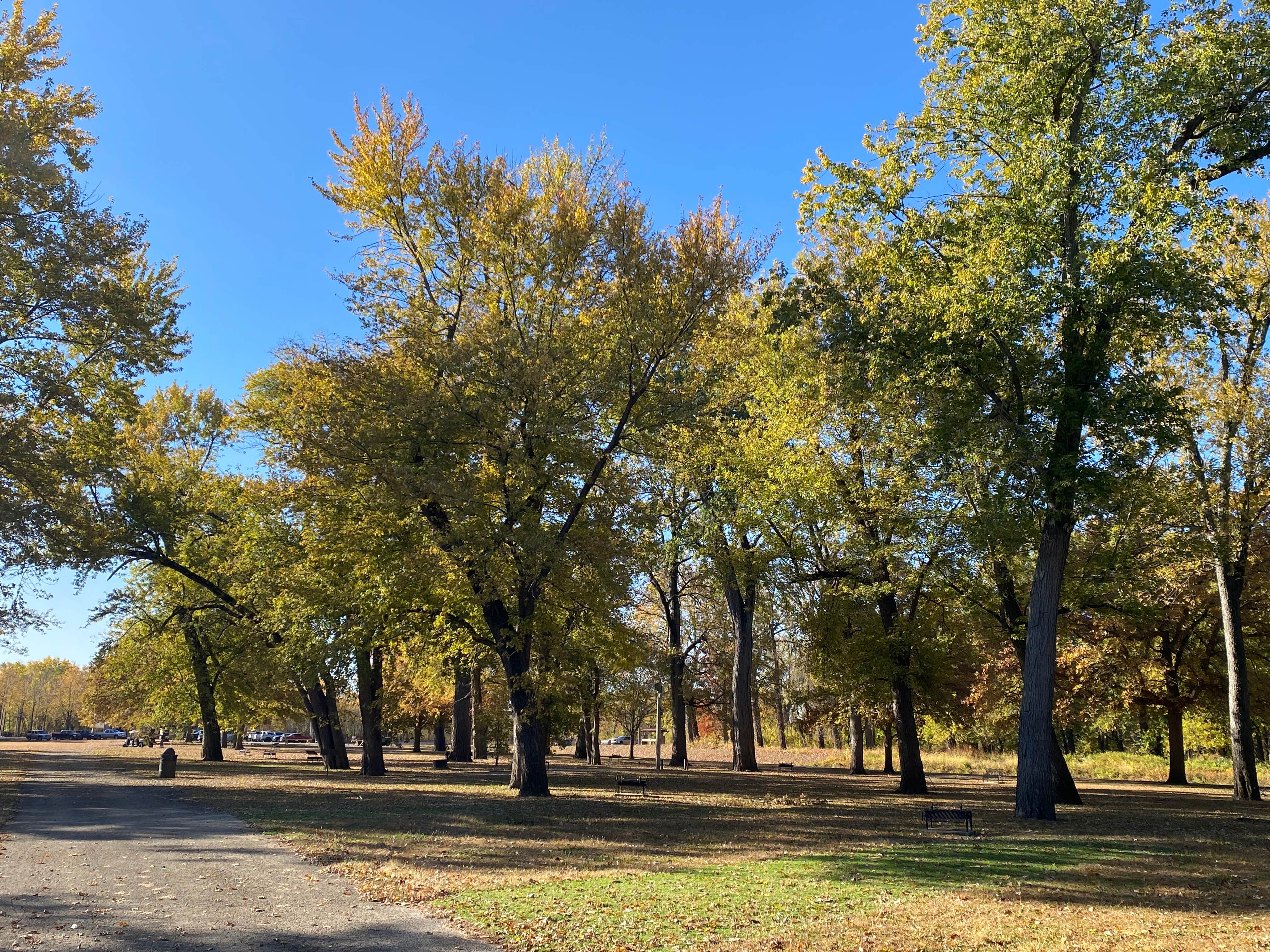 Camper-submitted photo at Woodford State Fish and Wildlife Area near Chillicothe, IL